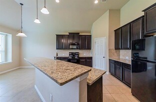 13707 Parkers Cove Ct in Houston, TX - Building Photo - Building Photo