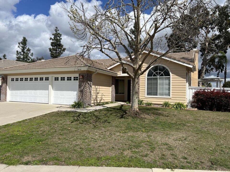 29114 Wayfarer Ln in Lake Elsinore, CA - Building Photo