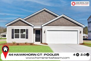 44 Hawkhorn Ct in Pooler, GA - Building Photo