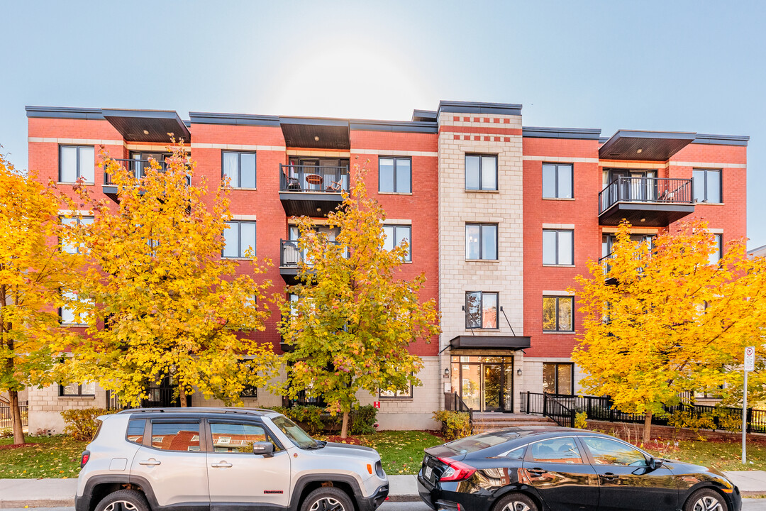 800 Gordon Rue in Verdun, QC - Building Photo