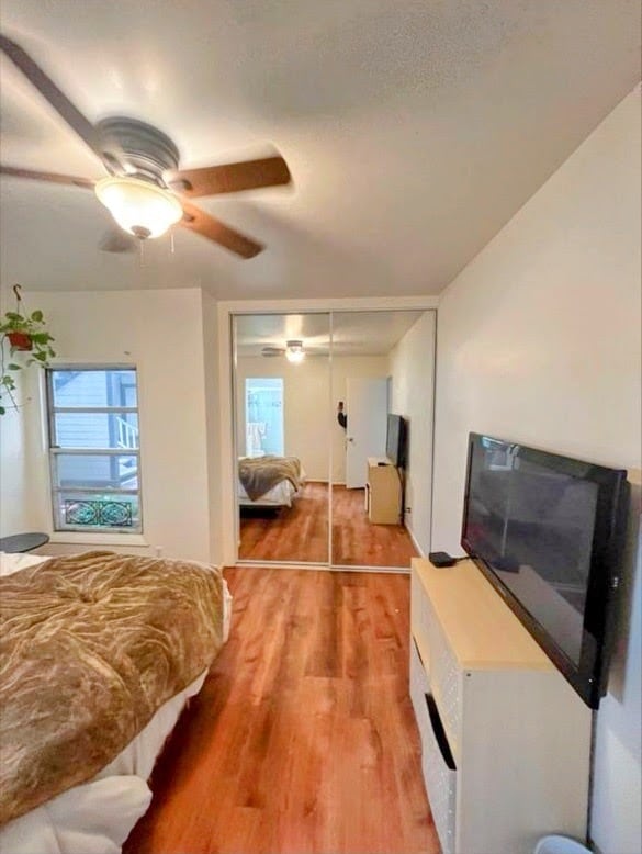 3950 Cleveland Ave in San Diego, CA - Building Photo - Building Photo