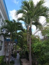 755 83rd St in Miami Beach, FL - Building Photo - Building Photo