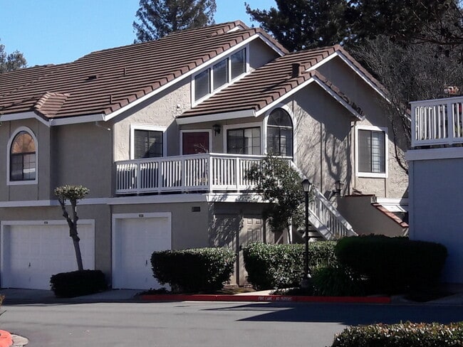 property at 2528 Yerba Hills Ct