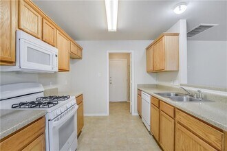 11705 Raymond C Ewry Ln in Austin, TX - Building Photo - Building Photo