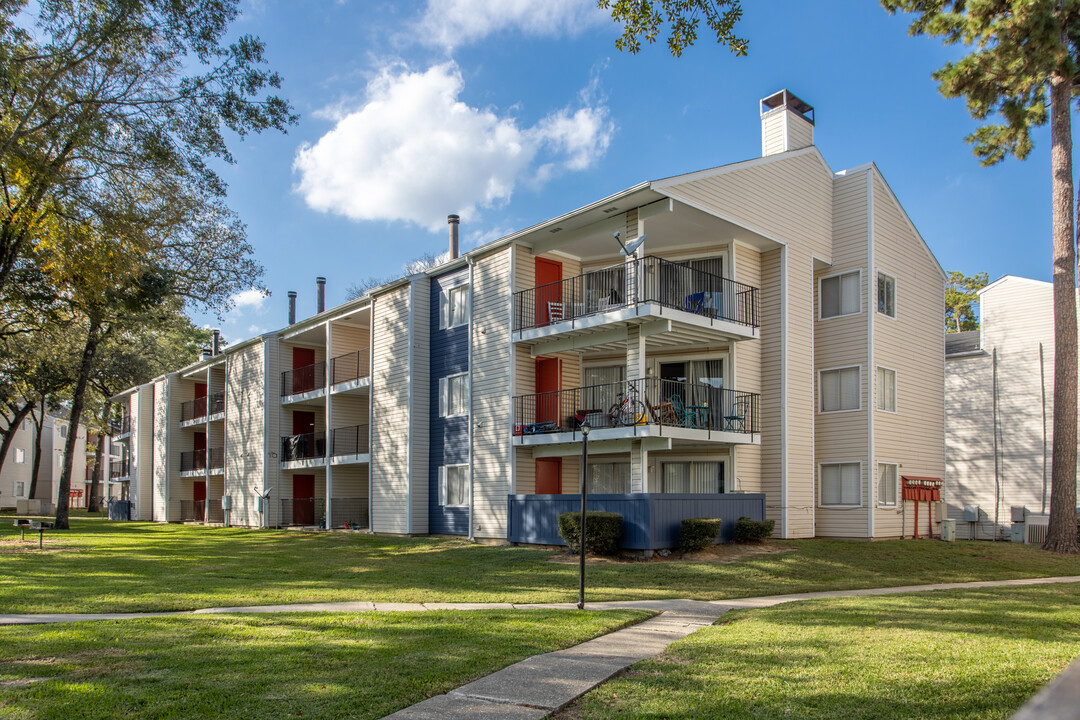 910 Apartment Homes in Houston, TX - Foto de edificio