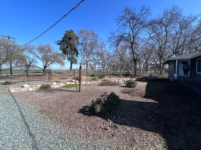 14999 Ave 280 in Visalia, CA - Building Photo - Building Photo