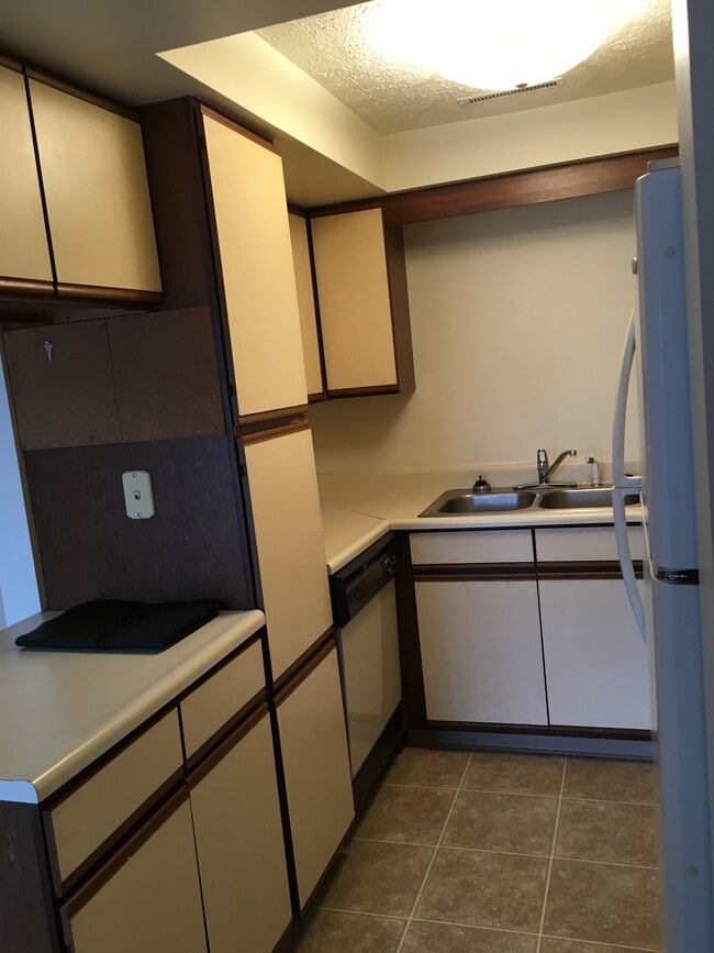 170 Portage S St, Unit 160 S Portage St in Doylestown, OH - Building Photo - Building Photo