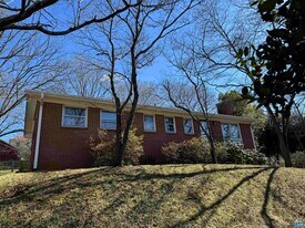 1028 St Charles Ave in Charlottesville, VA - Building Photo