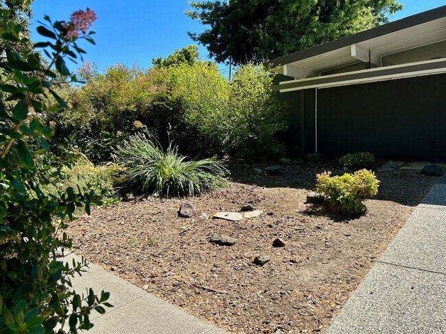 2409 Booksin Ave in San Jose, CA - Building Photo - Building Photo