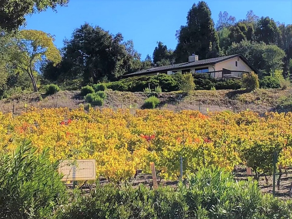 1426 Holsted Dr in Solvang, CA - Building Photo