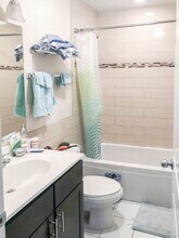 855 W Cornelia Ave in Chicago, IL - Building Photo - Building Photo