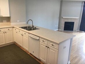 1511 S Prairie Ave, Unit 1 in Chicago, IL - Building Photo - Building Photo