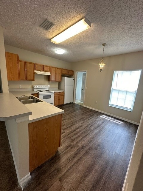1142 Orne Ct in Kissimmee, FL - Building Photo - Building Photo