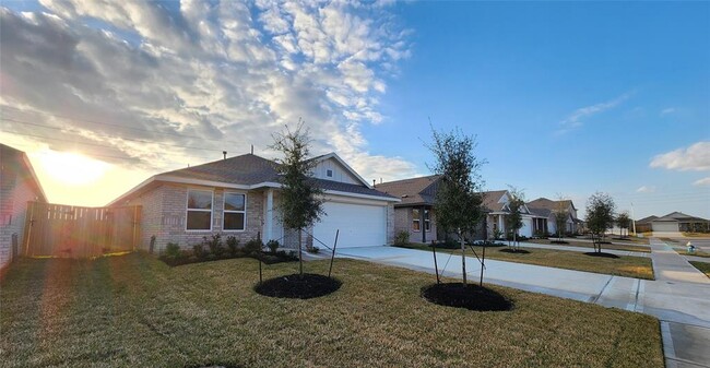 6615 Sassafras Grn Dr in Katy, TX - Foto de edificio - Building Photo