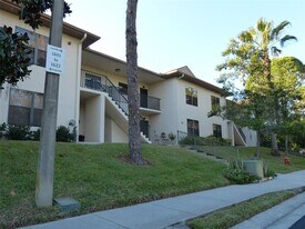 1610 Seascape Cir in Tarpon Springs, FL - Building Photo