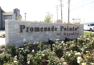 Promenade Point of Roselle in Roselle, IL - Building Photo - Building Photo