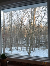 10614 Samaga Dr in Oakton, VA - Building Photo - Building Photo