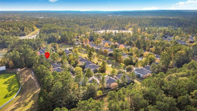 62 E Stedhill Loop in Conroe, TX - Building Photo - Building Photo