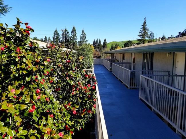 Moraga Hills Apartments in Moraga, CA - Foto de edificio - Building Photo