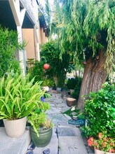 2113 Clark Ln in Redondo Beach, CA - Building Photo - Building Photo