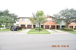 2447 Hibiscus Bay Ln in Brandon, FL - Building Photo