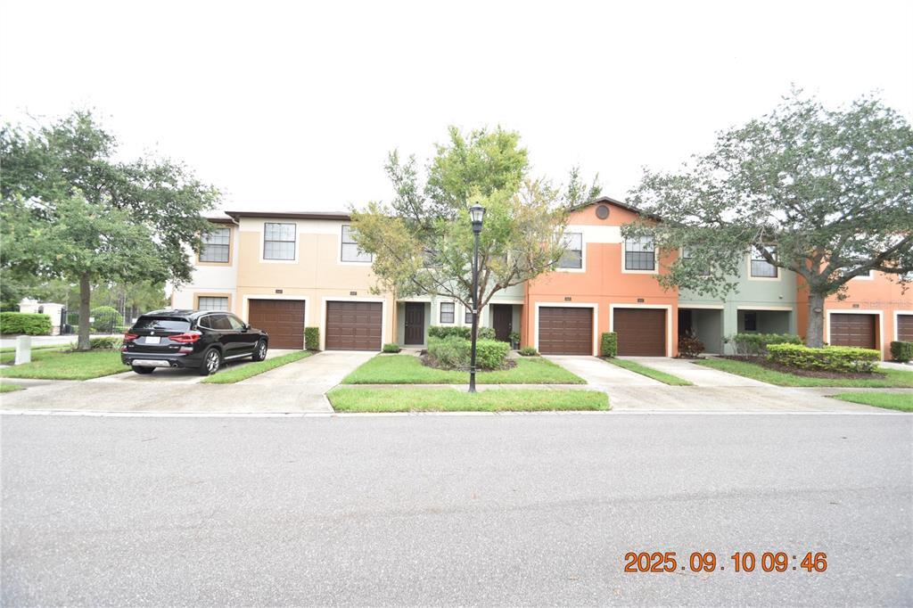 2447 Hibiscus Bay Ln in Brandon, FL - Building Photo