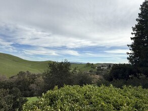 4466 Deer Ridge Rd in Danville, CA - Building Photo - Building Photo