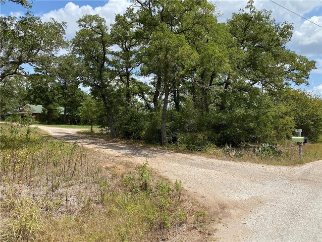 421 Leisure Ln in Cedar Creek, TX - Building Photo - Building Photo