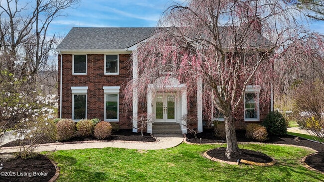 property at 8116 Montero Dr