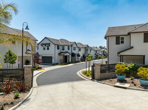 Miren in Arcadia, CA - Foto de edificio - Building Photo