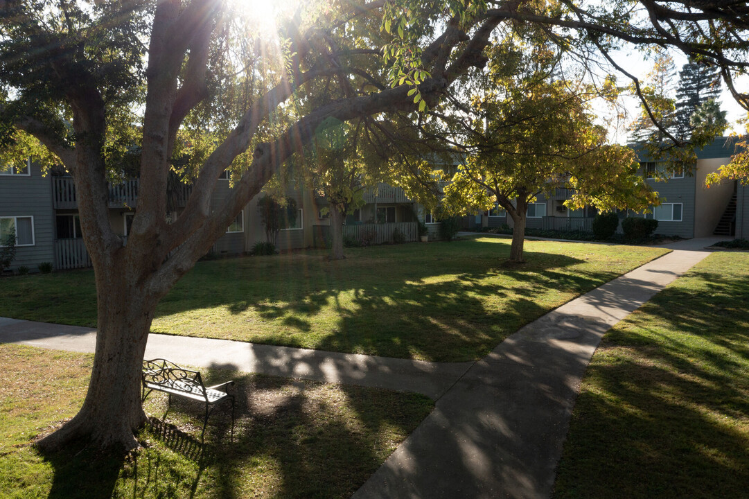 McClellan Terrace in Cupertino, CA - Building Photo