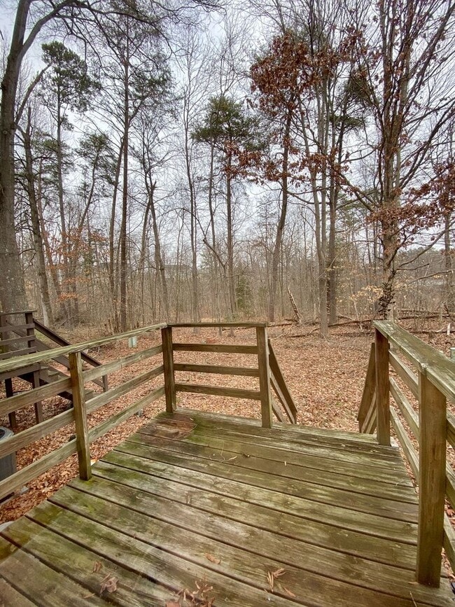118 Kings Mill Dr in Fredericksburg, VA - Building Photo - Building Photo