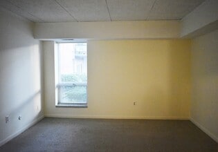 55 Broadlawn Park, Unit 1 in Boston College, MA - Building Photo - Building Photo