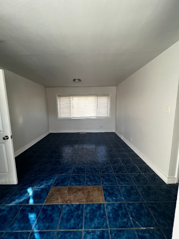 9136 S Anthony Ave in Chicago, IL - Foto de edificio - Building Photo