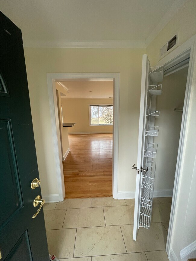 24 Independence Dr in Chestnut Hill, MA - Building Photo - Building Photo