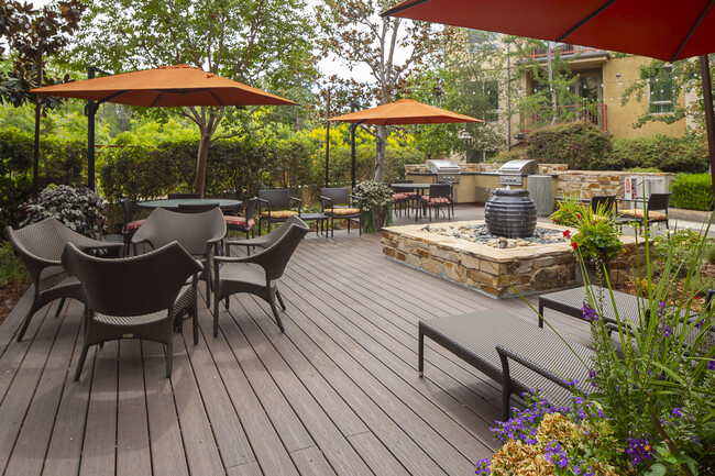 Serrano Luxury Homes and Garden in Encino, CA - Building Photo - Building Photo