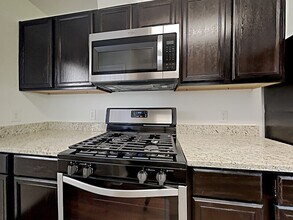 2415 Hiacintas Way in Houston, TX - Foto de edificio - Building Photo