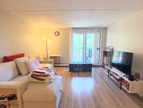 12 Ellery St, Unit 306 in Cambridge, MA - Building Photo - Building Photo