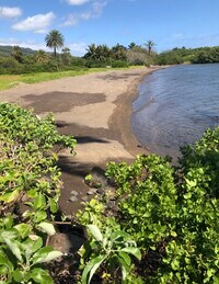 7142 Kamehameha V Hwy photo'