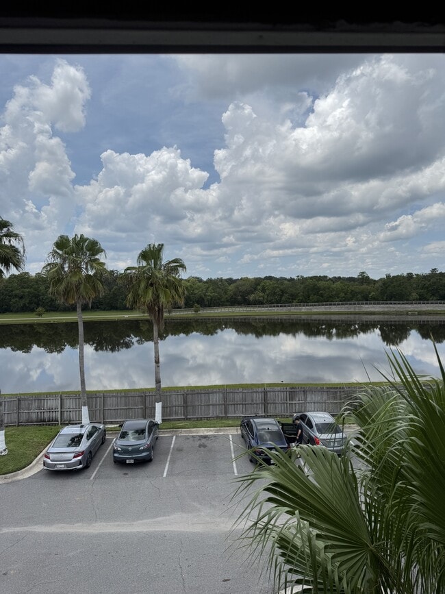 property at 2216 Grand Cayman Ct