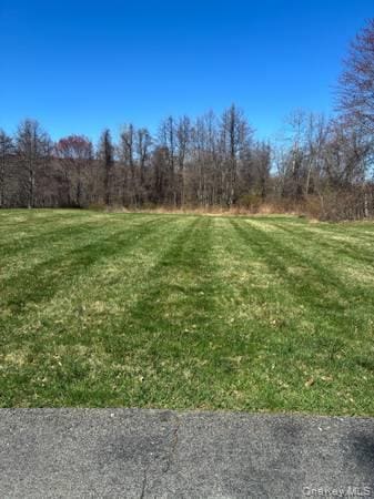 95 Lexington Dr in Newburgh, NY - Building Photo - Building Photo