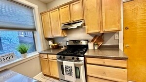 1319 W Addison St in Chicago, IL - Building Photo - Building Photo