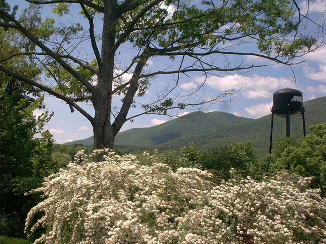 135 Munn Terrace in Arlington, VT - Building Photo - Building Photo