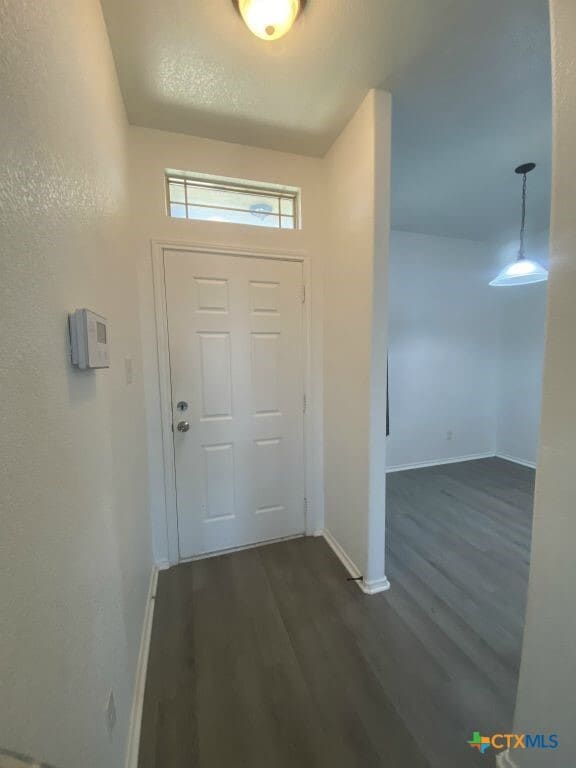 2708 Hector Dr in Killeen, TX - Building Photo - Building Photo