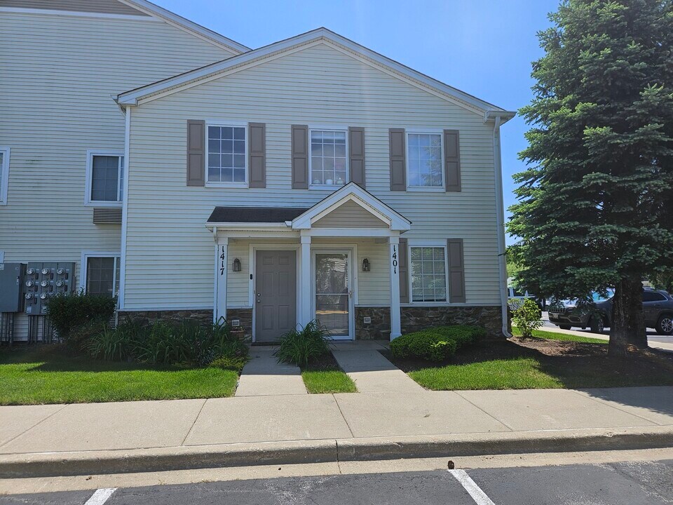 1401 Silverstone Dr in Carpentersville, IL - Building Photo