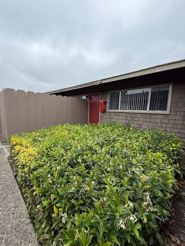 property at 1330 Byron Dr