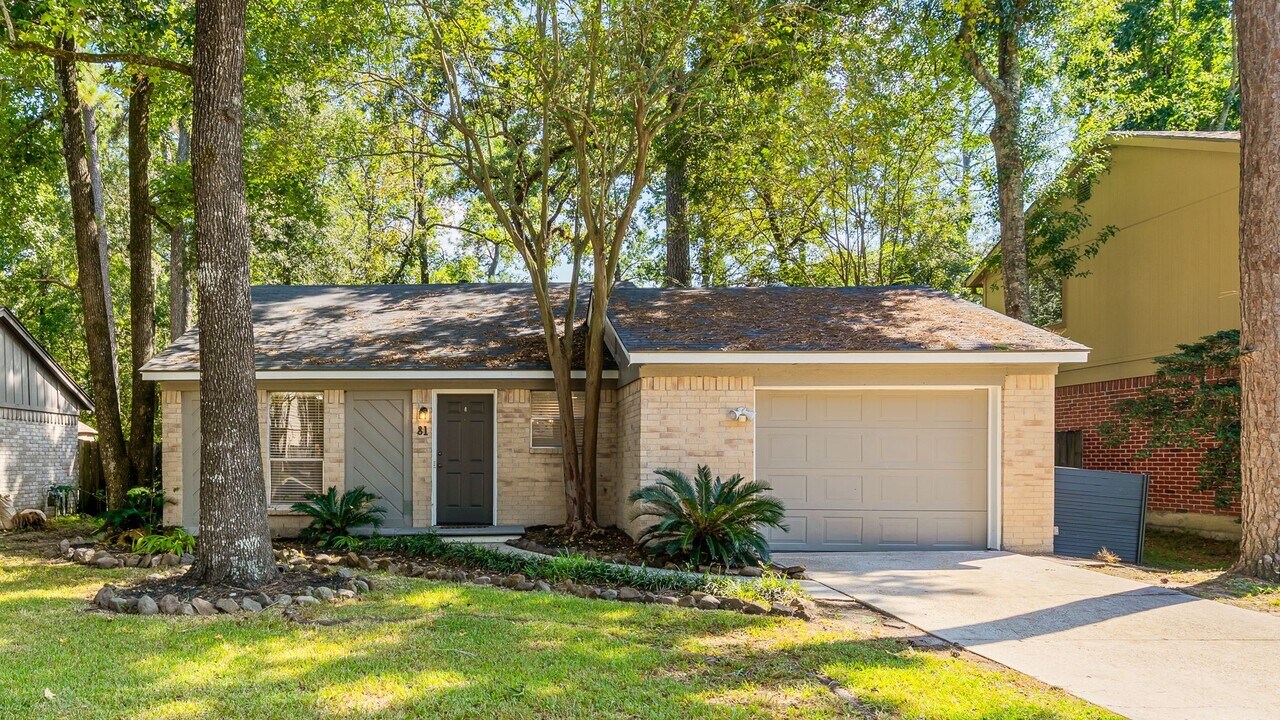 81 S Wavy Oak Cir in Spring, TX - Building Photo