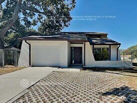 3101 Sandspur Dr in Tampa, FL - Building Photo