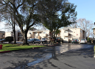 Parkwood Apartments in Turlock, CA - Foto de edificio - Building Photo