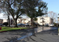 Parkwood Apartments in Turlock, CA - Building Photo - Building Photo